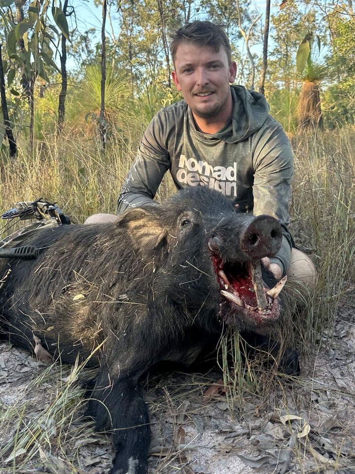 Bow hunter with a feral boar on a Cape York hunt
