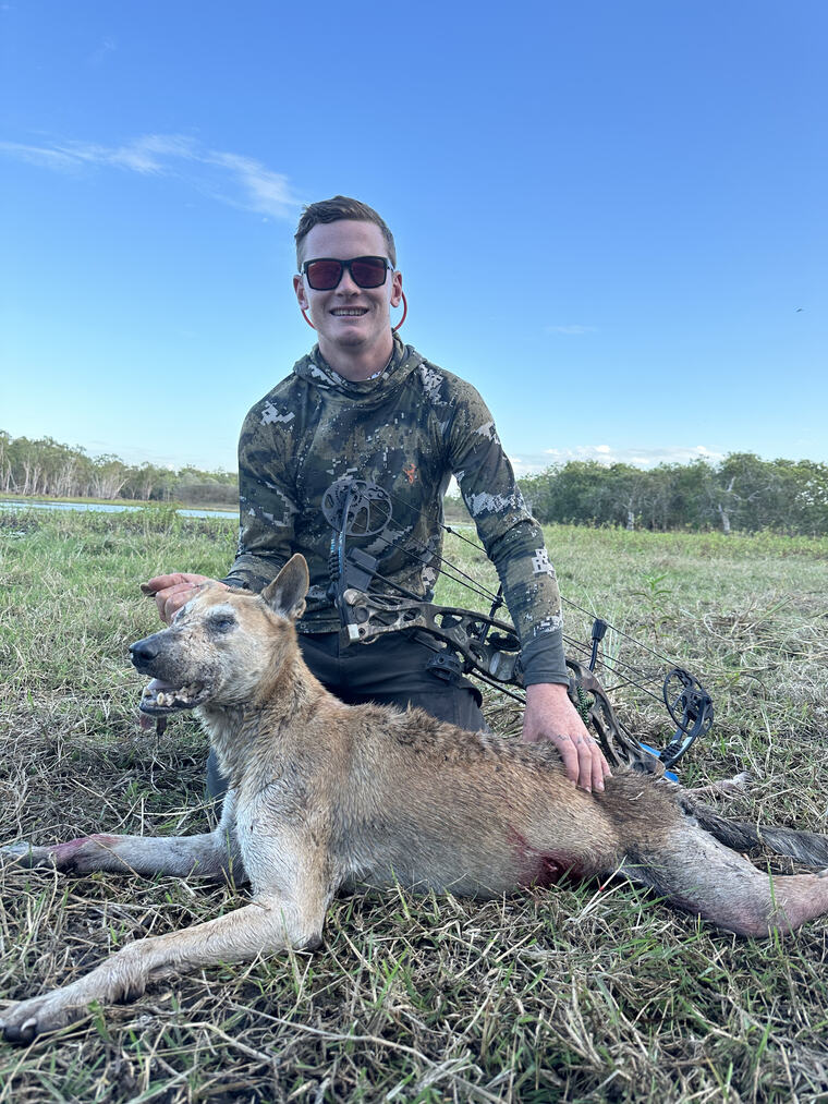 Bow hunter with a wild dog on a Cape York hunt