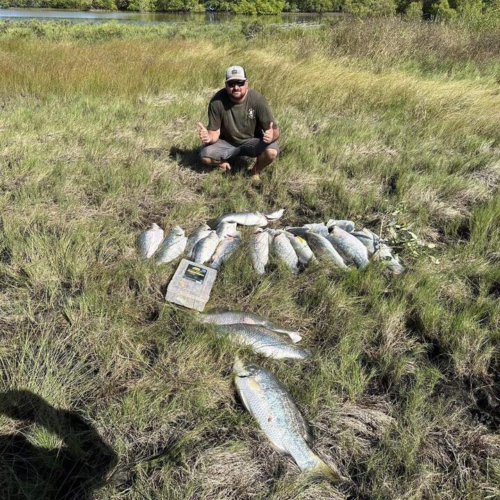A morning's catch on the bank